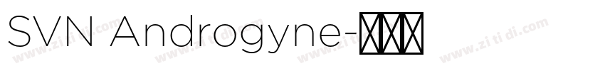 SVN Androgyne字体转换